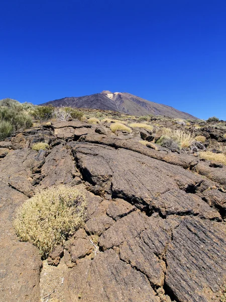 Teide nemzeti park, tenerife, kanári-szigetek, Spanyolország — Stock Fotó