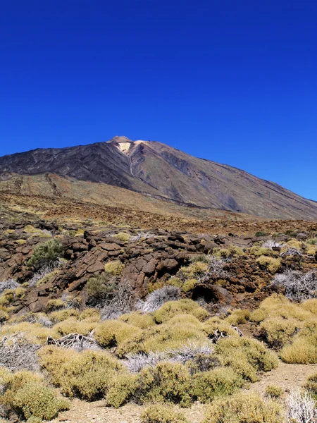 Teide nationalpark, tenerife, Kanarieöarna, Spanien — Stockfoto