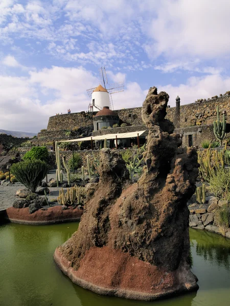 Jardin de cactus(cactus garden), lanzarote, Kanarya Adaları, İspanya — Stok fotoğraf