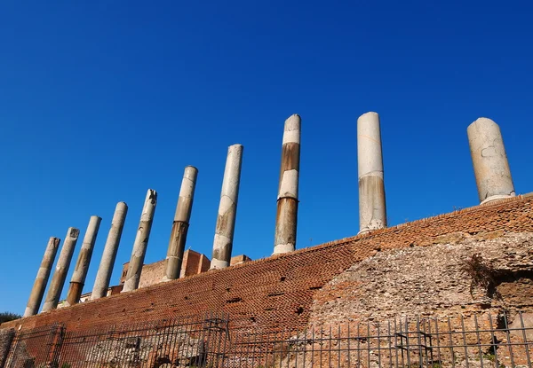 Das römische forum, rom, italien — Stockfoto