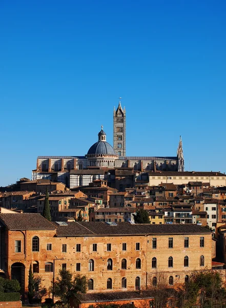 Kathedrale in siena, italien — Stockfoto