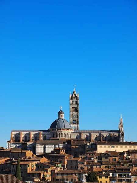 Καθεδρικό ναό της Σιένα, Ιταλία — Φωτογραφία Αρχείου