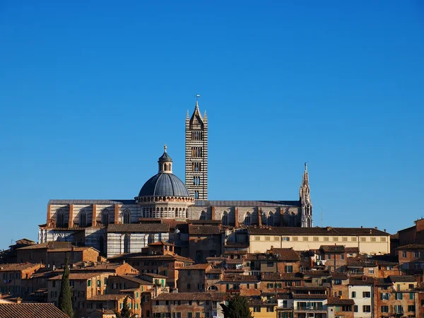 意大利锡耶纳的大教堂 — 图库照片