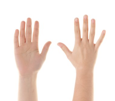 Female hands clipart