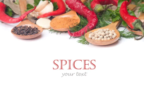 stock image Spices