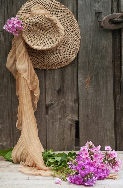 Flowers — Stock Photo, Image