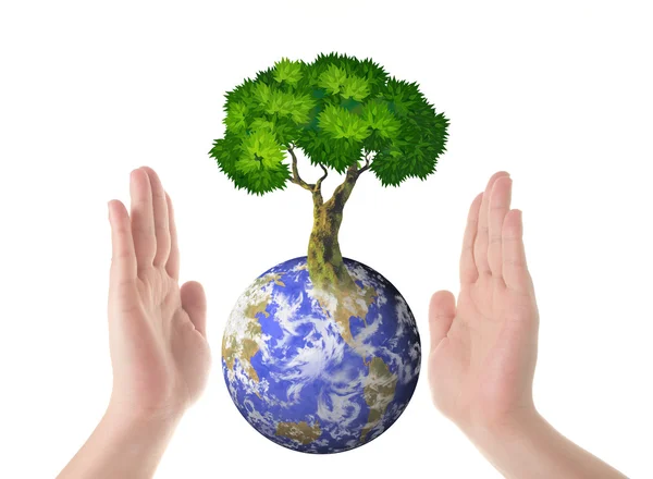 Руки, наша планета Земля и дерево — стоковое фото