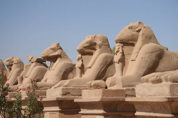 stock image Sculpture from Karnak Temple