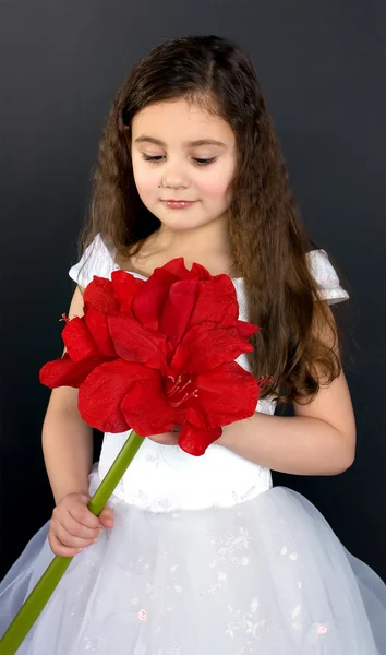 Krásná dívka snící s jasně červeným květem — Stock fotografie