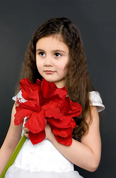 Bella ragazza sognante con fiore rosso brillante — Foto Stock