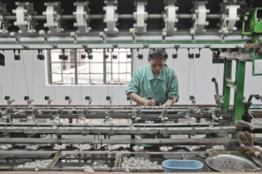 Chinese worker detaching silk cocoons on Apri clipart