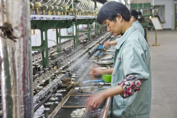 Trabalhador chinês destacando casulos de seda — Fotografia de Stock