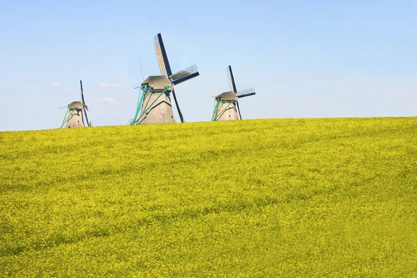 Windmills in a field — Stock Photo, Image
