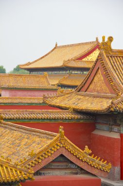 Traditional roofs in Beijing's Forbidden City clipart