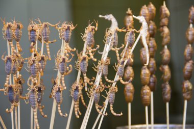 Scorpions and seahorses on sticks clipart