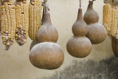 Calabash drying to make instruments and bowls clipart