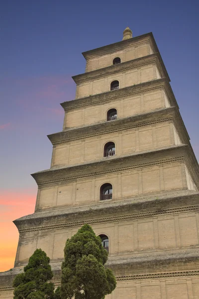 Velké divoké husy pagoda, x'ian — Stock fotografie