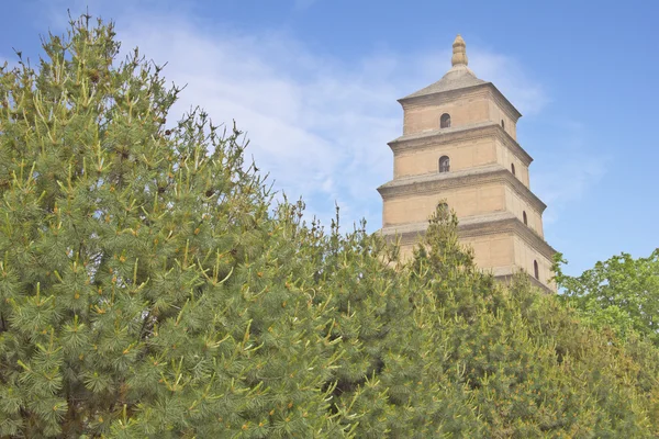 Den stora wild goose pagoda, x'ian — Stockfoto