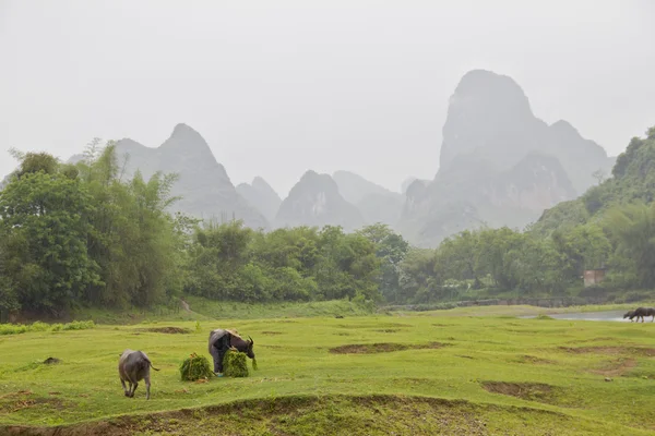 Yangsho countryside landscape — Stock Photo, Image
