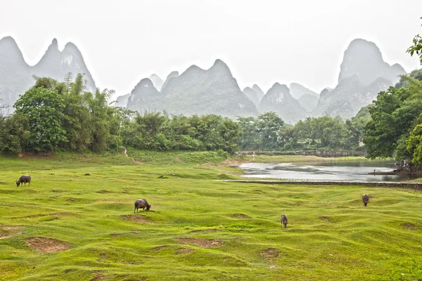 Yangsho countryside landscape — Stock Photo, Image