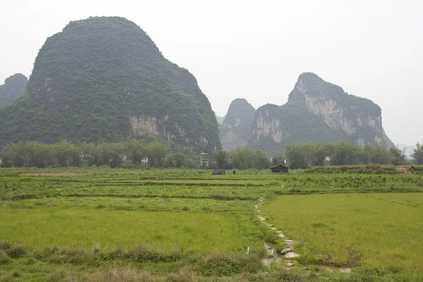 Formación de rocas en China —  Fotos de Stock