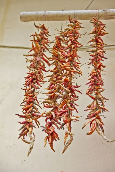 Αποξηραμένο πιπέρι — Φωτογραφία Αρχείου
