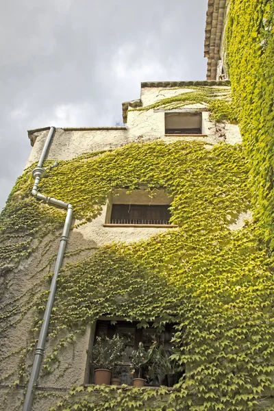 Типичный дом в Провансе — стоковое фото