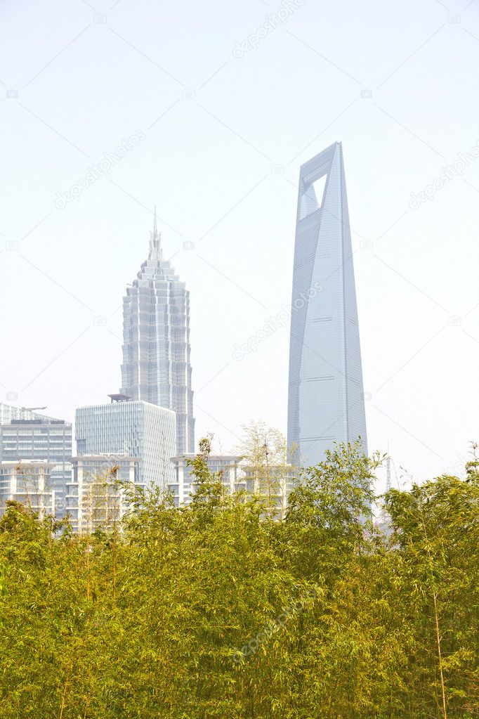 Jin Mao Tower and Shanghai world financial