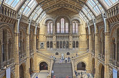 Natural History Museum, London clipart