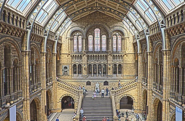 Науково-природознавчий музей, Лондон — стокове фото
