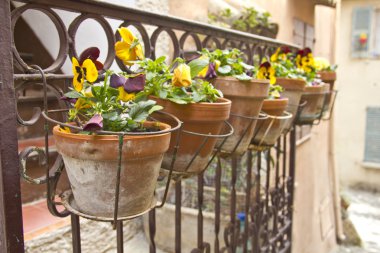 bir balkon vazolar