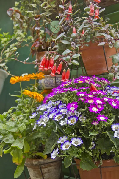 Vele vazen op een tuin — Stockfoto