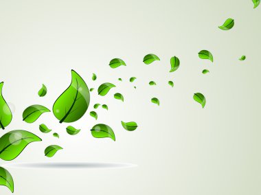 fresh green leave illustration for vector clipart