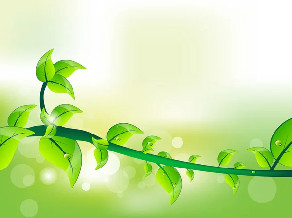 Frische grüne Blätter Illustration für Vektor — Stockvektor