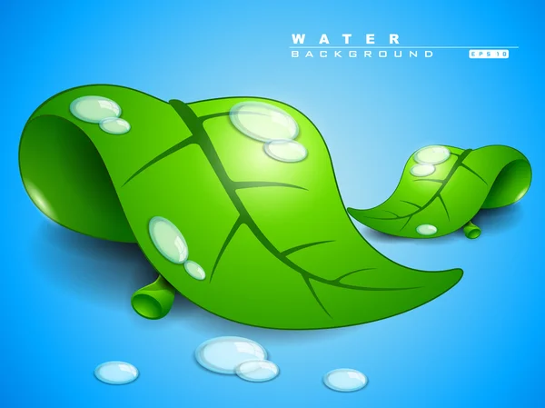 Green leaves with water drops — Stock Vector