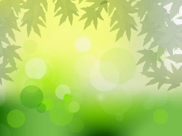 Feixes de sol e folhas verdes para ilustração vetorial —  Vetores de Stock