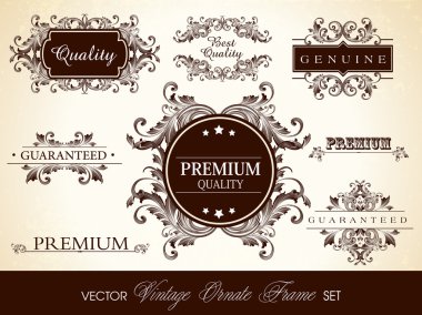 Vector set of calligraphic design ornate frame and page decorati