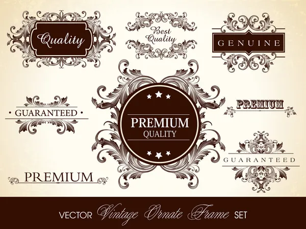 Vector set of calligraphic design ornate frame and page decorati — Stock Vector
