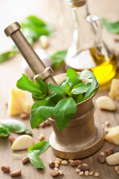 Pesto sos için malzemeler — Stok fotoğraf