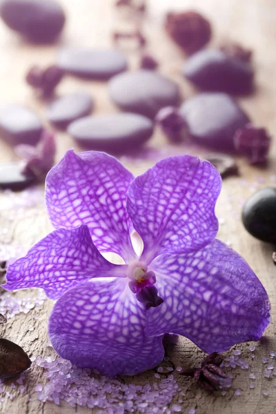 Flor de orquídea para spa — Fotografia de Stock