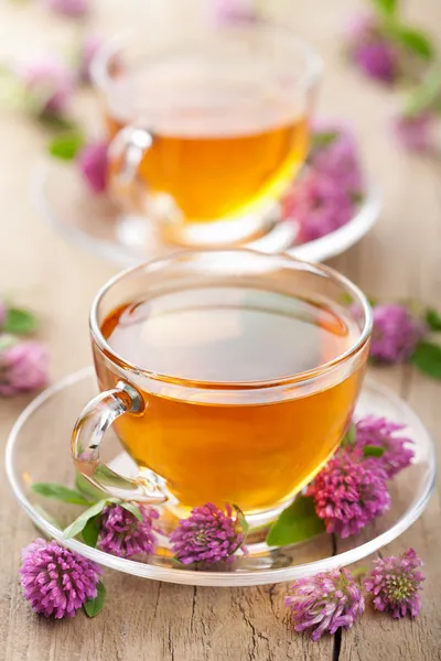 Травяной чай и цветы клевера — стоковое фото