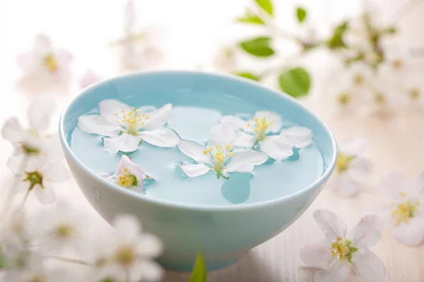 Vårblommor för spa och aromaterapi — Stockfoto