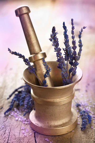 Mortar with lavender — Stock Photo, Image