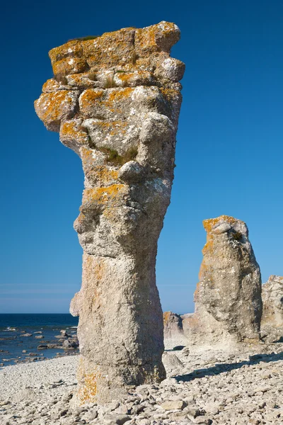 stock image Limestone pillars at Gotland island