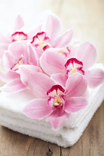 Orchidee bloemen en handdoeken voor spa — Stockfoto