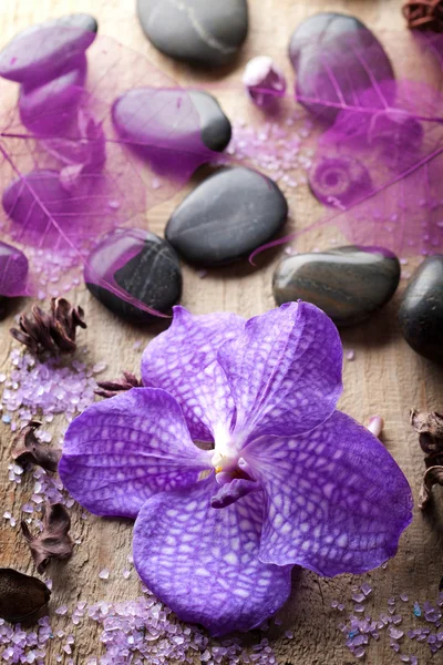 Orchideebloem voor spa — Stockfoto