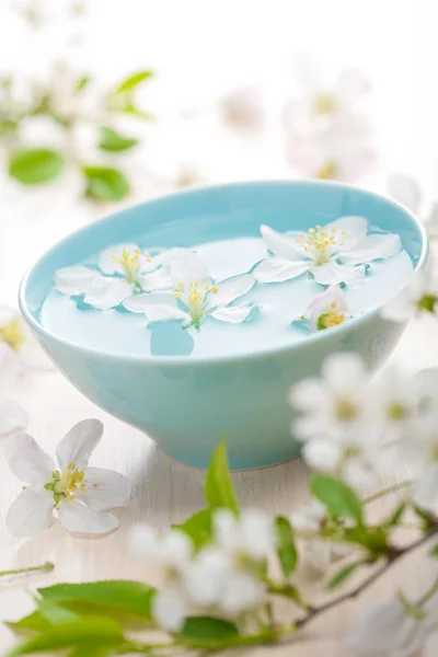 Flores de primavera para spa e aromaterapia — Fotografia de Stock
