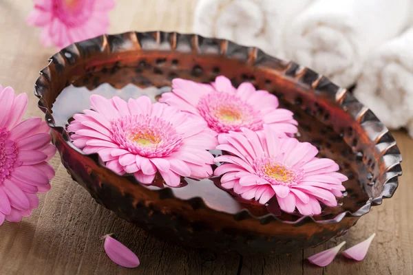 Цветы в миске для ароматерапии — стоковое фото
