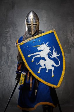 Medieval knight on grey background. clipart
