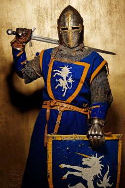 Medieval knight clipart